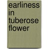 Earliness In Tuberose Flower by Muhammad Ahsan