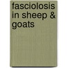 Fasciolosis in Sheep & Goats door Khalid Mehmood