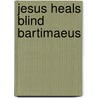 Jesus Heals Blind Bartimaeus door Diane Grebing