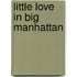 Little Love In Big Manhattan