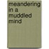 Meandering in a Muddled Mind