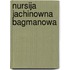Nursija Jachinowna Bagmanowa