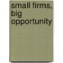 Small Firms, Big Opportunity