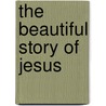 The Beautiful Story of Jesus door Maite Roche