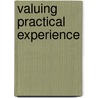 Valuing Practical Experience door Susan Ang