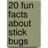 20 Fun Facts about Stick Bugs