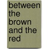 Between the Brown and the Red door Mikolaj Stanislaw Kunicki