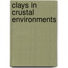 Clays in Crustal Environments door Sambhu Chaudhuri