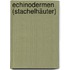 Echinodermen (Stachelhäuter)