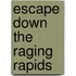 Escape Down the Raging Rapids