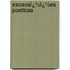 Excavaï¿½Ï¿½Es Poeticas