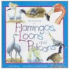 Flamingos, Loons And Pelicans door Mel Boring