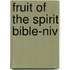 Fruit Of The Spirit Bible-niv