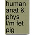Human Anat & Phys L/M Fet Pig