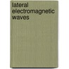 Lateral Electromagnetic Waves door Ronold W.P. King