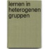 Lernen in Heterogenen Gruppen