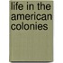 Life in the American Colonies