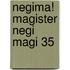 Negima! Magister Negi Magi 35
