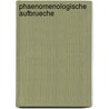 Phaenomenologische Aufbrueche by Osterreichische Gesellschaft F. Ur Philosophie