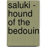 Saluki - Hound Of The Bedouin door Julia Johnson