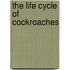 The Life Cycle of Cockroaches