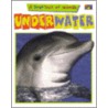 Underwater First Look at Anim door Two-Can