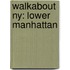 Walkabout Ny: Lower Manhattan