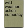Wild Weather: Action Numeracy door Carmel Reilly