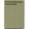 Achtzehnfleckiger Marienkäfer by Jesse Russell