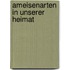 Ameisenarten in unserer Heimat
