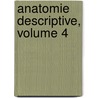 Anatomie Descriptive, Volume 4 by Jean Cruveilhier