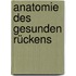 Anatomie des gesunden Rückens