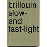 Brillouin Slow- and Fast-Light door Ronny Henker