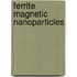 Ferrite Magnetic Nanoparticles