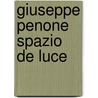 Giuseppe Penone Spazio de Luce by A. Borchart-Hume