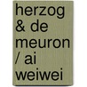 Herzog & De Meuron / Ai Weiwei door Julia Peyton-Jones