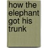 How the Elephant Got His Trunk