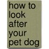 How to Look After Your Pet Dog