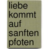 Liebe Kommt Auf Sanften Pfoten by Lucy Dillon