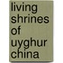 Living Shrines of Uyghur China
