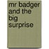Mr Badger And The Big Surprise
