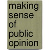 Making Sense of Public Opinion door Claudia Strauss