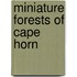 Miniature Forests of Cape Horn