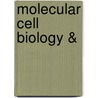 Molecular Cell Biology & by Harvey Lodish