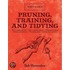 Pruning, Training, and Tidying