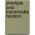 Sherlock and Transmedia Fandom