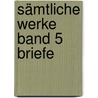 Sämtliche Werke Band 5 Briefe door Khalil Gibran