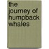 The Journey of Humpback Whales