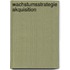Wachstumsstrategie Akquisition