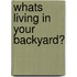 Whats Living In Your Backyard?